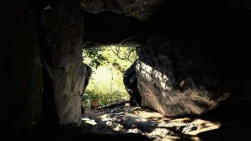 Aufnahme aus einer kleinen Höhle mit Blick nach draußen video