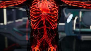 scansione di anatomia scientifica dei vasi sanguigni umani video