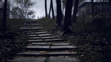 vieux garages abandonnés dans la forêt video