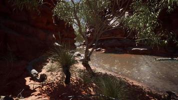 redwall reflection in Colorado River video