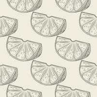 Hand drawn lime slice seamless pattern. Lemon citrus fruit wallpaper. vector