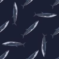 Seamless pattern sei whale on black background. Template of cartoon character of ocean for fabric. vector