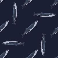 Seamless pattern sei whale on black background. Template of cartoon character of ocean for fabric. vector