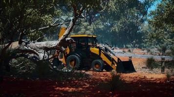 Baggertraktor im Buschwald video