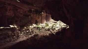 la vista dentro de la cueva de las hadas cubierta de plantas verdes que se iluminan solas video