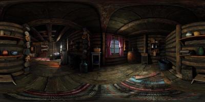 VR360 view of old log home interior video