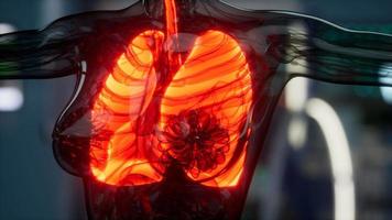 examen de radiología de pulmones humanos en laboratorio video