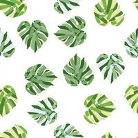 Monstera leaves tropical seamless pattern. Palm leaf endless wallpaper. vector