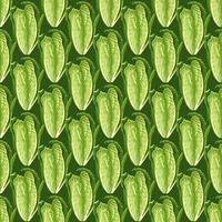 Seamless pattern salad Romano on green background. Abstract ornament with lettuce. vector