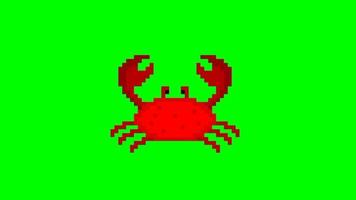 animação de pixel de caranguejo vermelho no fundo da tela verde video