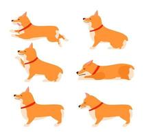 Set of poses and emotions dog. Welsh Corgi Set. Teach dog. Stay, Wait, Sit. vector