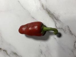 Red chili pepper photo