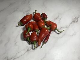 Red chili pepper photo