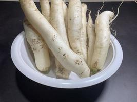 fresh white radish photo