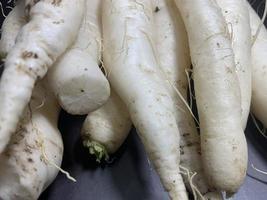 fresh white radish photo