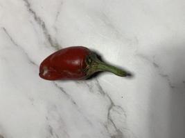 Red chili pepper photo