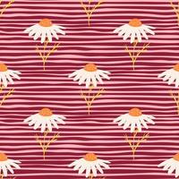 Spring seamless pattern with cute white daisy flowers print. Pink striped background. Meadow botanic ornament. vector