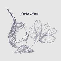 concepto de bebida de yerba mate aislada en el fondo. vector