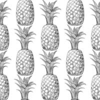 Pineapple fruit sketch seamless pattern. Exotic tropical fruit backdrop. vector