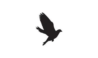 pigeon vector illustration design black and white