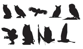owl vector illustration design black and white collection