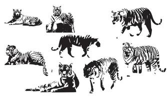 diseño de ilustración de vector de tigre colección en blanco y negro