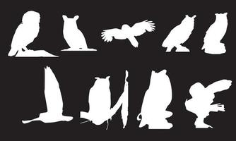 owl vector illustration design black and white collection