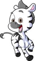 The cute zebra is running and laughing with the big smile vector