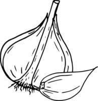 garlic. icon, label, menu. sketch hand drawn doodle. monochrome minimalism. food, spice. vector
