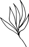 abstract leaves icon. hand drawn doodle. , scandinavian, nordic, minimalism, monochrome. plant, herbarium. vector