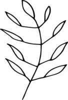 abstract leaves icon. hand drawn doodle. , scandinavian, nordic, minimalism, monochrome. plant, herbarium. vector