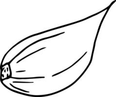 garlic slice, clove. icon, label, menu. sketch hand drawn doodle. monochrome minimalism. food, spice. vector