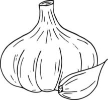 garlic. icon, label, menu. sketch hand drawn doodle. monochrome minimalism. food, spice. vector