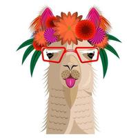 Alpaca head front view cartoon isolated white background vector