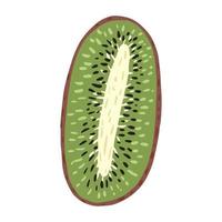 Half kiwi isolated on white background. Abstract tropical fruit. vector