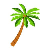 clip art of palm tree with cartoon design vector