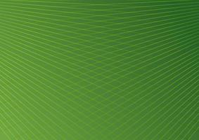 Abstract background of green line color of modern design vector