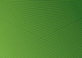 Abstract background of green line color of modern design vector