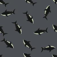 patrón aleatorio sin costuras de tiburón negro con fondo gris. impresión exótica tropical. vector