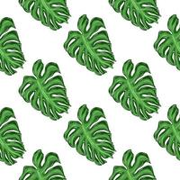 Nature seamless pattern with green monstera foliage print. White background. Simple nature print. vector