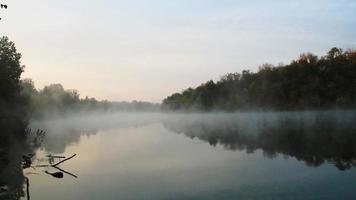 fumo sull'acqua. un bellissimo lago sullo sfondo del verde bosco. la nebbia galleggia sul fiume al mattino presto all'alba. superficie dell'acqua. affascinanti miracoli della natura. copia spazio per il testo video