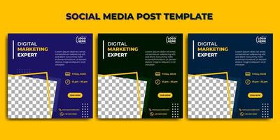 Set of Social media post template. Digital marketing expert banner design. good template for online advertising design. vector