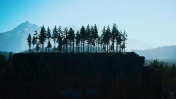 paysage de forêt de montagne brumeuse le matin video