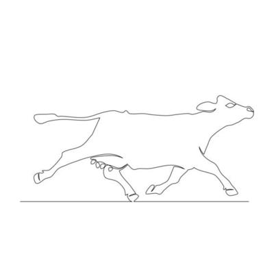 Line drawing of female cow running in meadow on white background. Templates for your designs. Vector illustration.