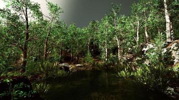 paesaggio primaverile della foresta con laghetto invaso video