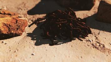 old rusted abandoned chain on sand beach video