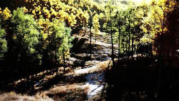 vallée avec des arbres d'automne parmi les montagnes éclairées par le soleil au coucher du soleil video