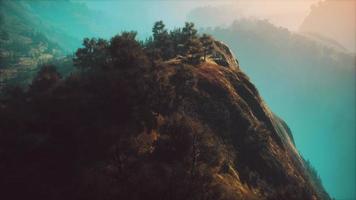 coucher de soleil en montagne avec herbe verte et arbres video