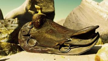very old horse saddle on sand beach video
