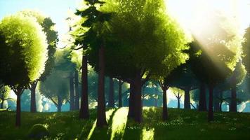 paysage de forêt verte de dessin animé avec des arbres et des fleurs video